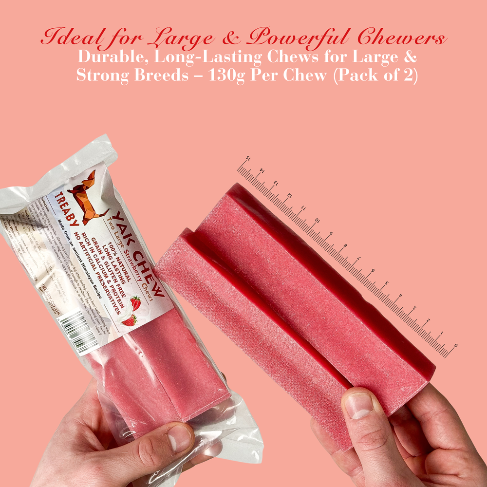 - Antler Chew