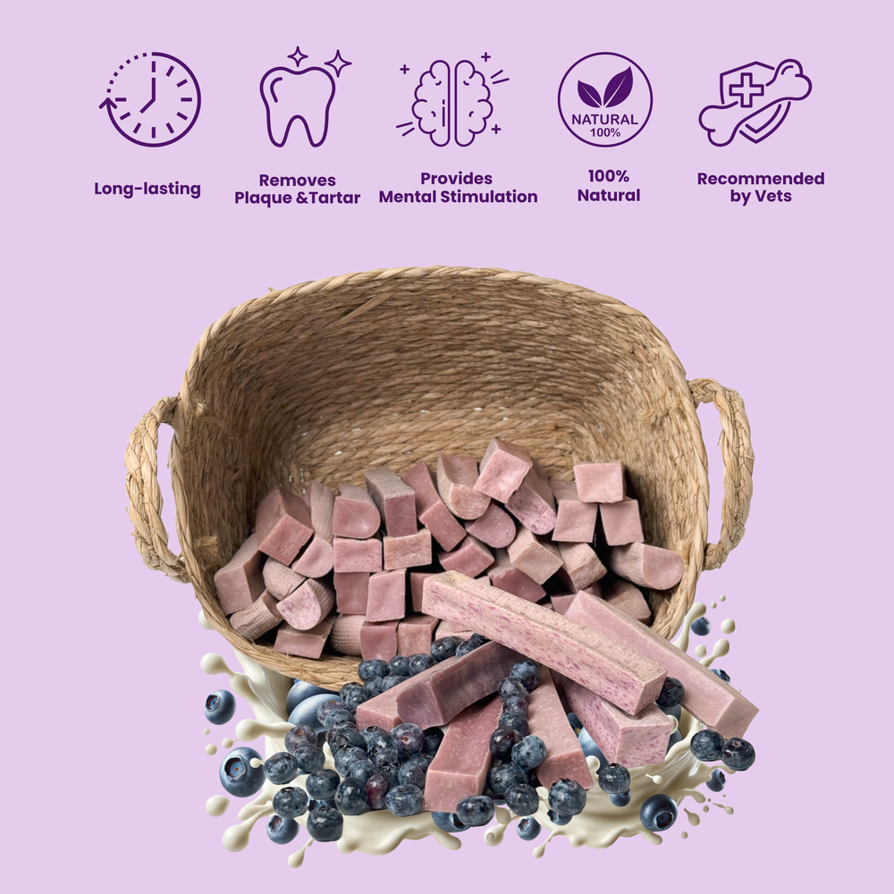 - Antler Chew