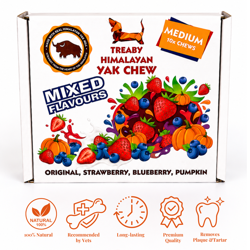 Mixed Flavour TREABY Himalayan Yak Chew Box - Box of 10