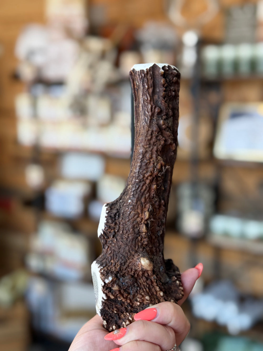 Carefully selected for its naturally exposed marrow, this split antler offers easier access to the nutritious centre while still providing a satisfying chew. - Antler Chew