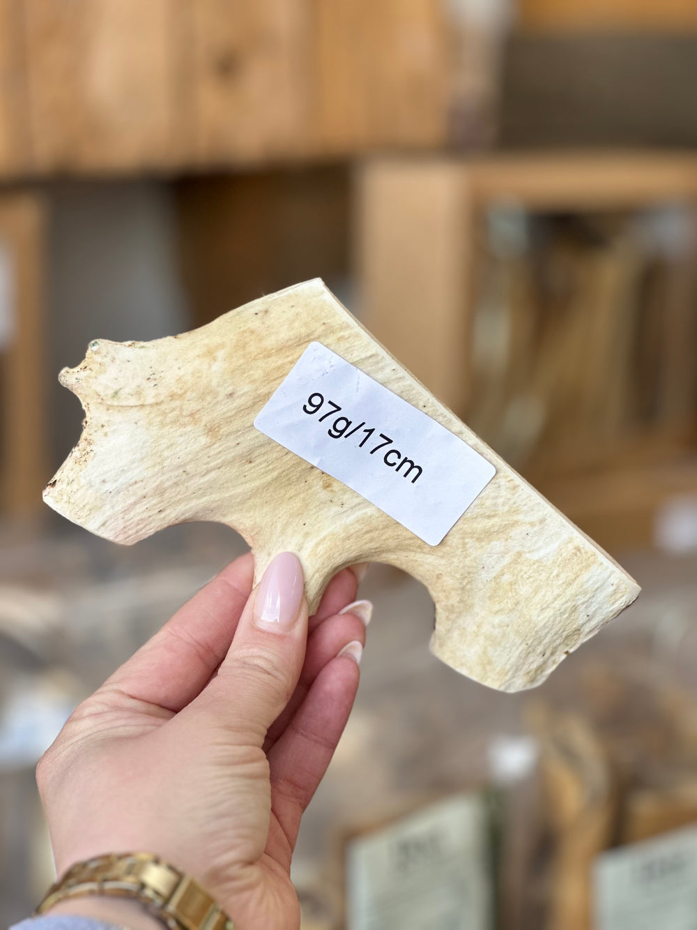 - Antler Chew
