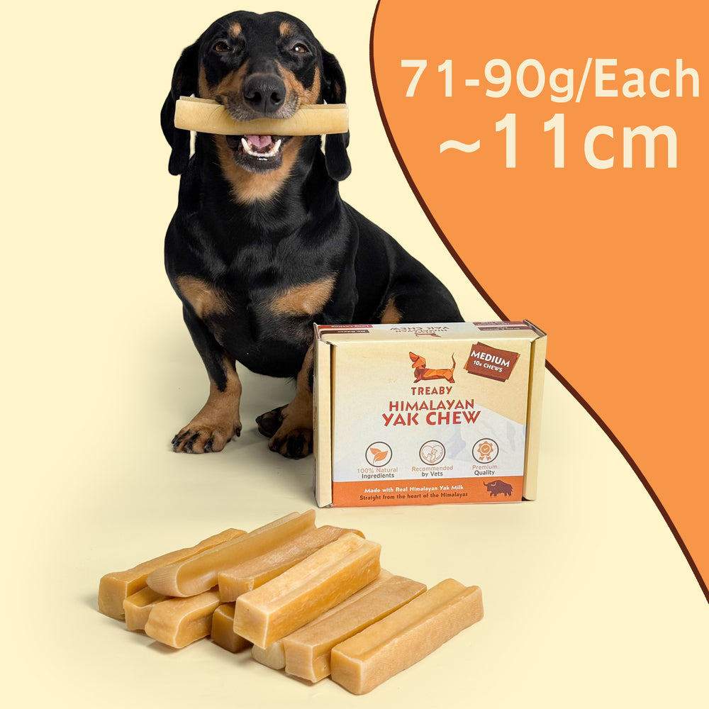 Shop Treaby Himalayan Yak Chew Bundles, crafted from pure Himalayan yak milk. Available in four sizes – small to extra large – these durable, natural dog chews promote dental health and provide hours of enjoyment. Perfect for all dog breeds. Order your pack today! - Antler Chew
