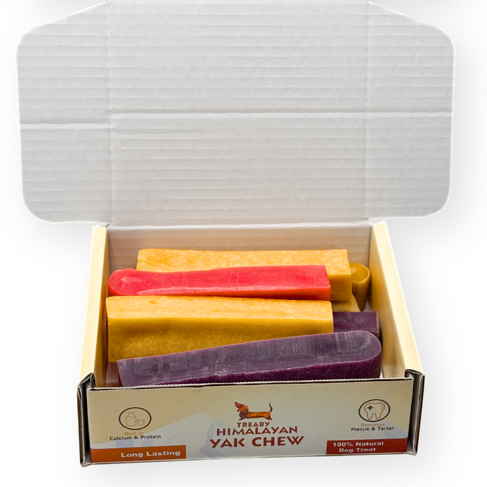 Natural Himalayan Yak Chew Box Bundle – All-Natural, Long-Lasting Dog Treat Keep your dog happy and engaged with the Treaby Himalayan Yak Chew Box. Save £££ - Antler Chew