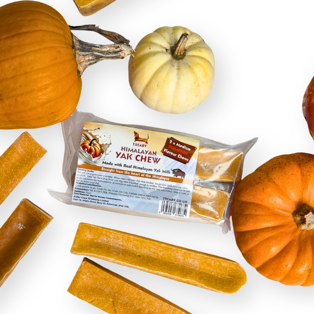 Treat your dog to TREABY's pumpkin-flavoured Yak Chew (Medium Size, 2-pack). Made with natural ingredients, these chews are perfect for puppies and adult dogs aged 14 weeks and older. Autumn flavour has arrived! - Antler Chew