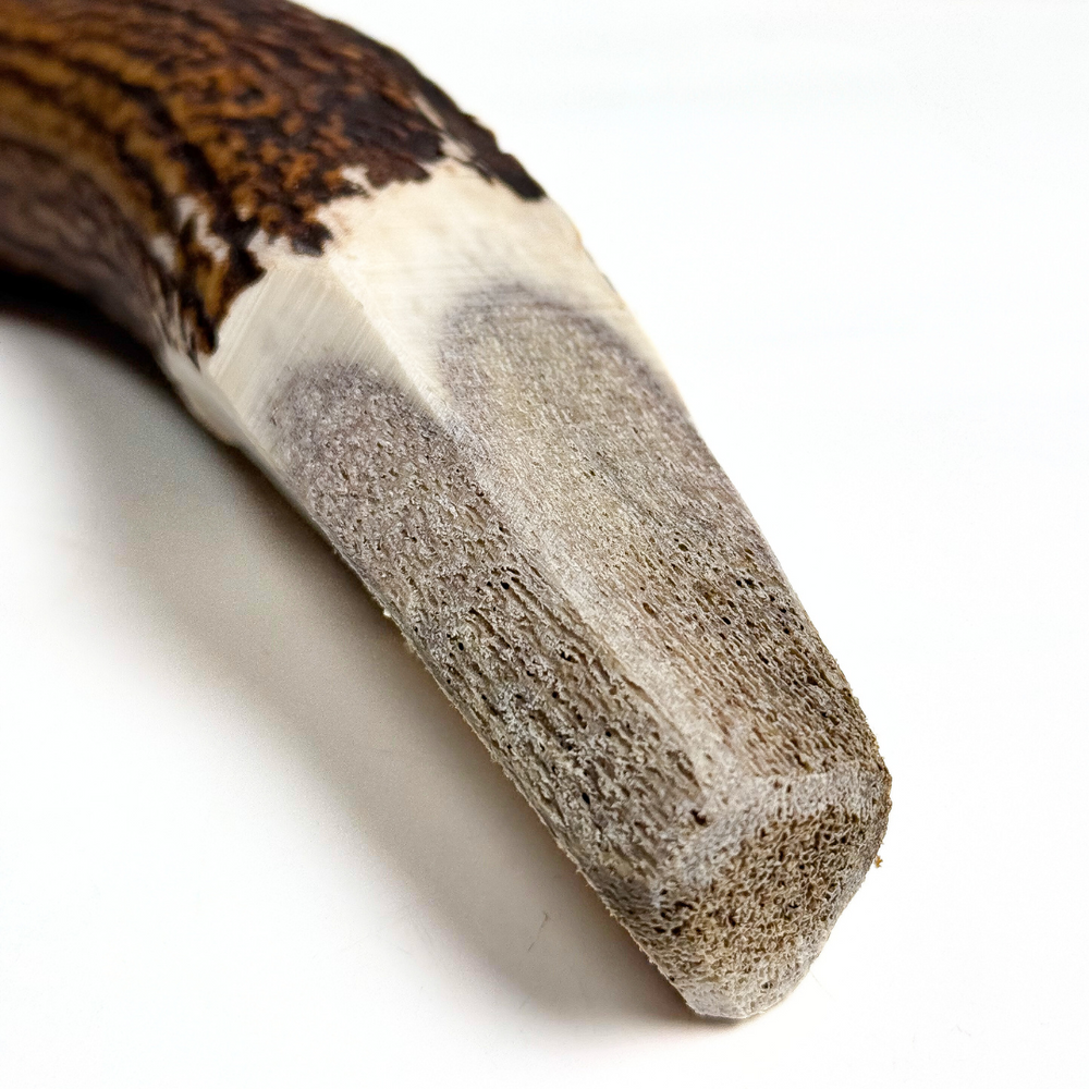 Introducing our unique BuckHorn Crown Cut Antler Chew—designed for durability with just enough exposed marrow for engagement. It includes the crown for extra strength, ensuring a long-lasting, natural chew for power chewers. - Antler Chew