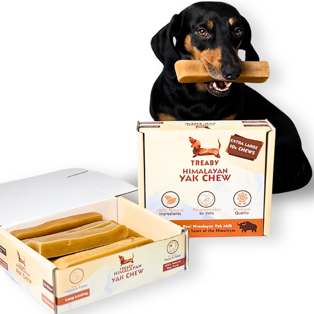 Treat your dog to the best with the Treaby Himalayan Yak Chew XL Bundle – 10 Extra-Large Chews for maximum satisfaction! - Antler Chew