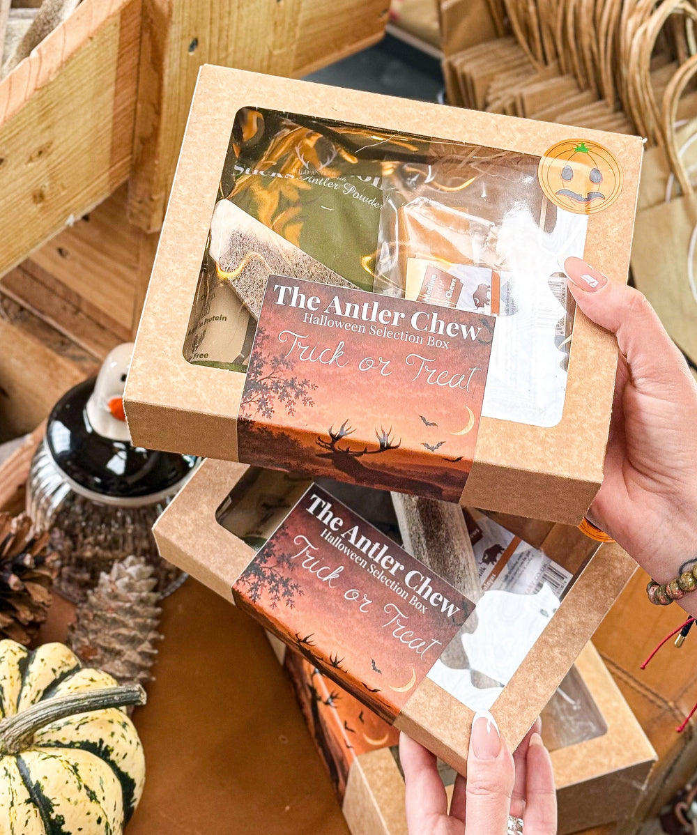 The Antler Chew Halloween Selection Box – Trick or Treat for Dogs