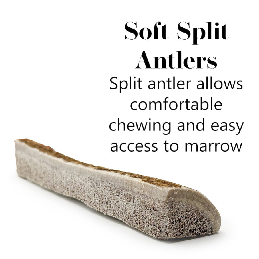 Antler Chew