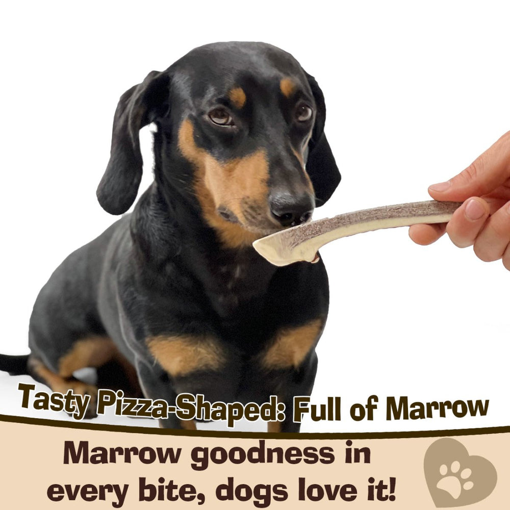 Split Deer Antler Chew - Antler Chew