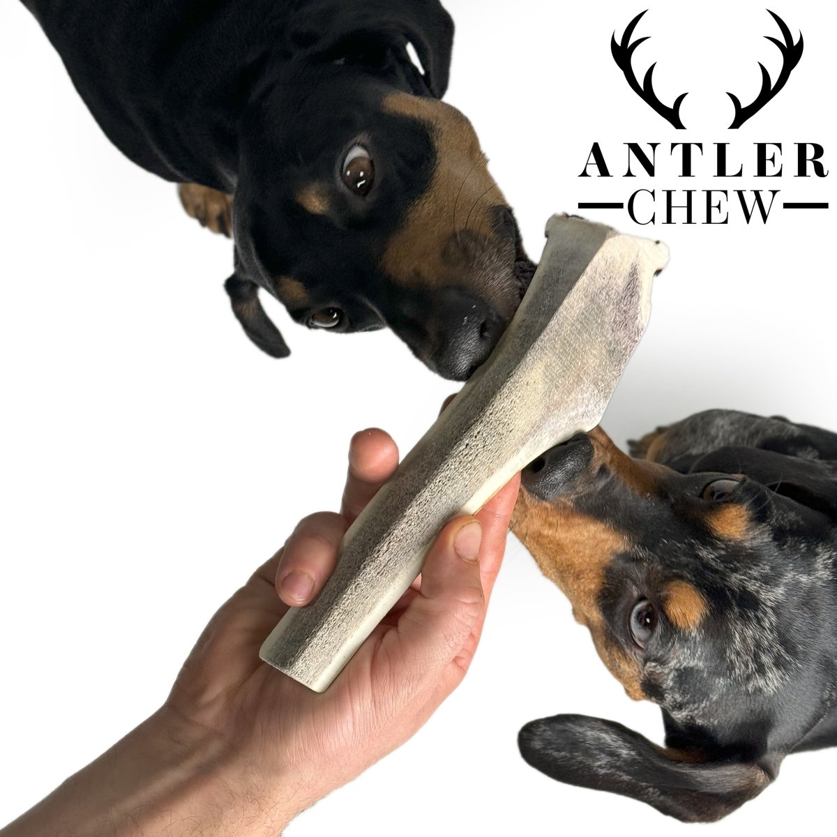 Split Deer Antler Chew - Antler Chew