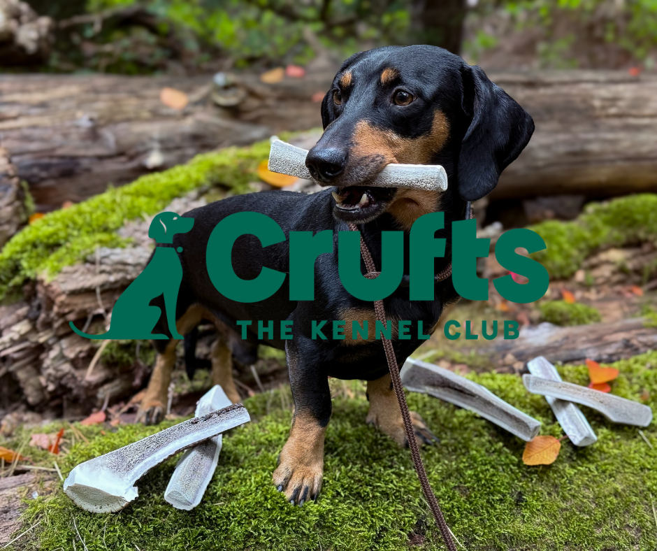 We’re Heading to Crufts 2026