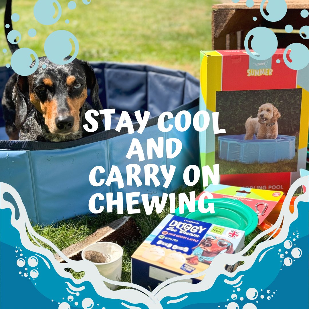 How to Keep Your Dog Cool During Summer - Antler Chew