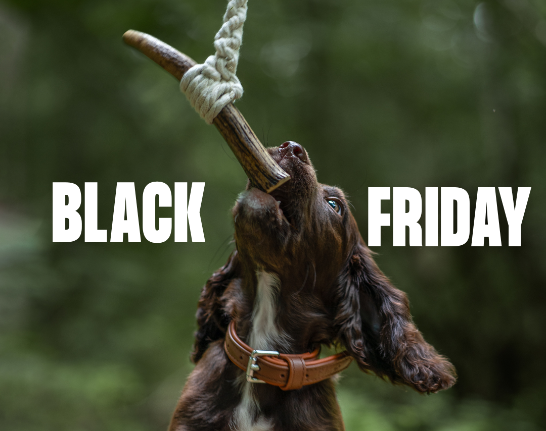 Black Friday Is Coming: Don’t miss biggest SALE of the year !