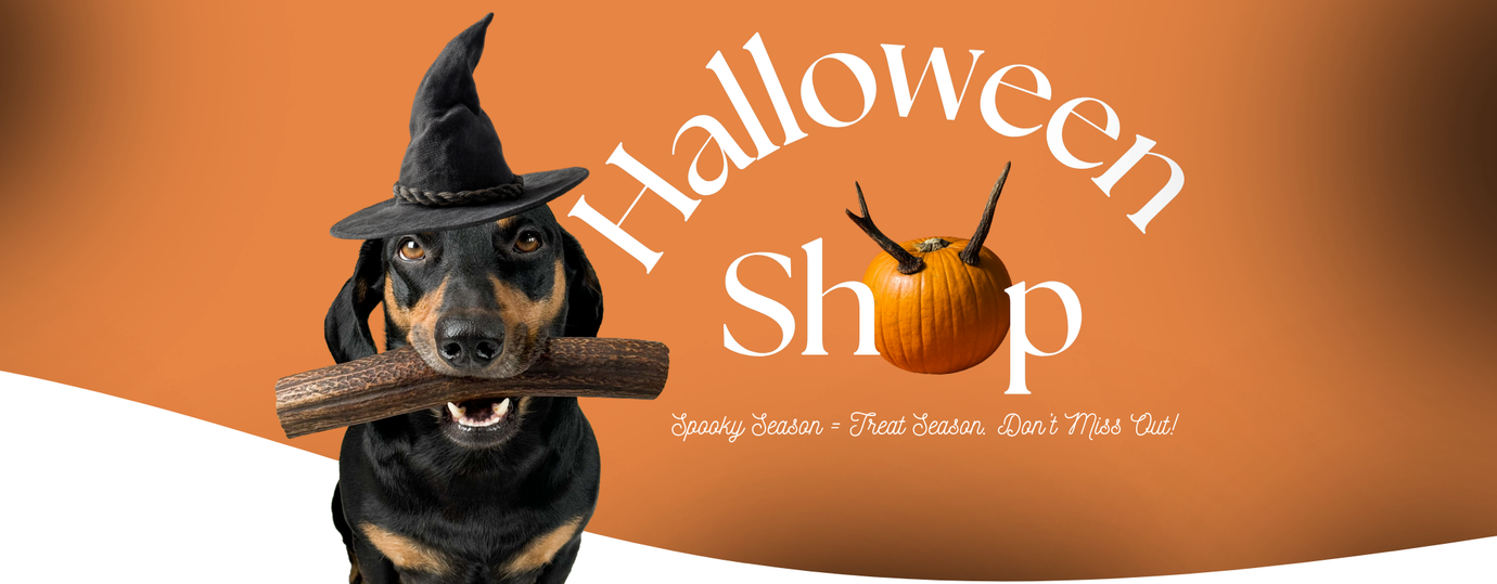 🎃 Spooky Season Savings