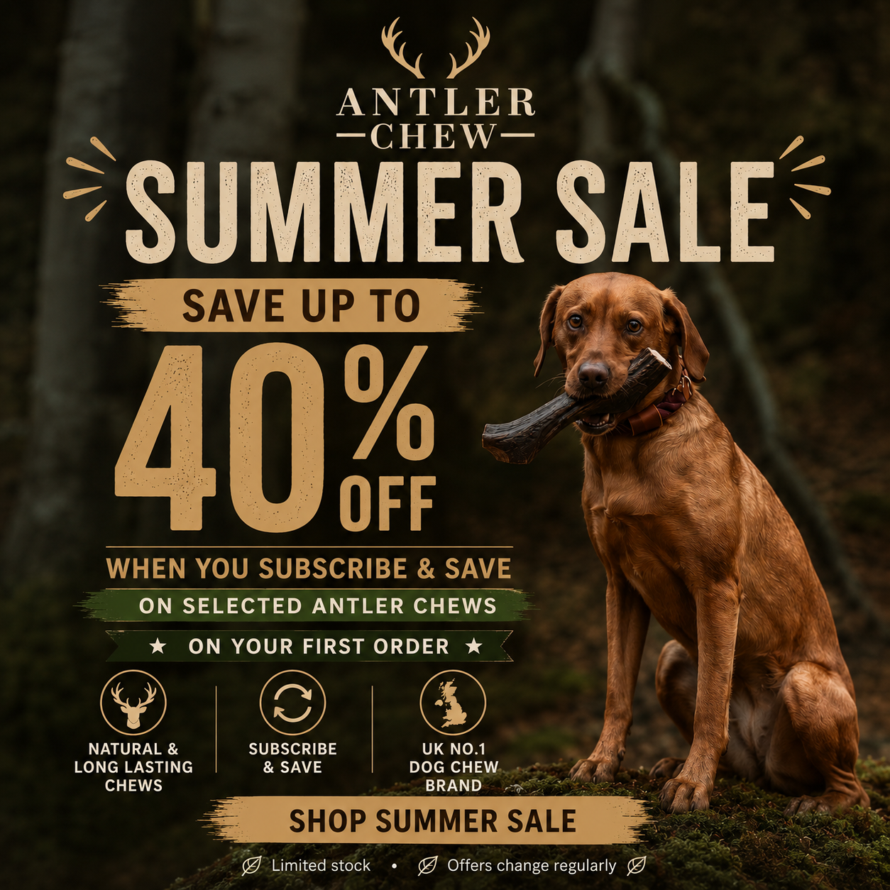 Summer Sale