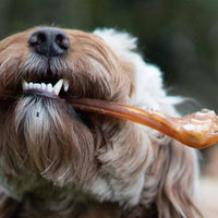 Venison Tendons/Sinew x 3 - Antler Chew