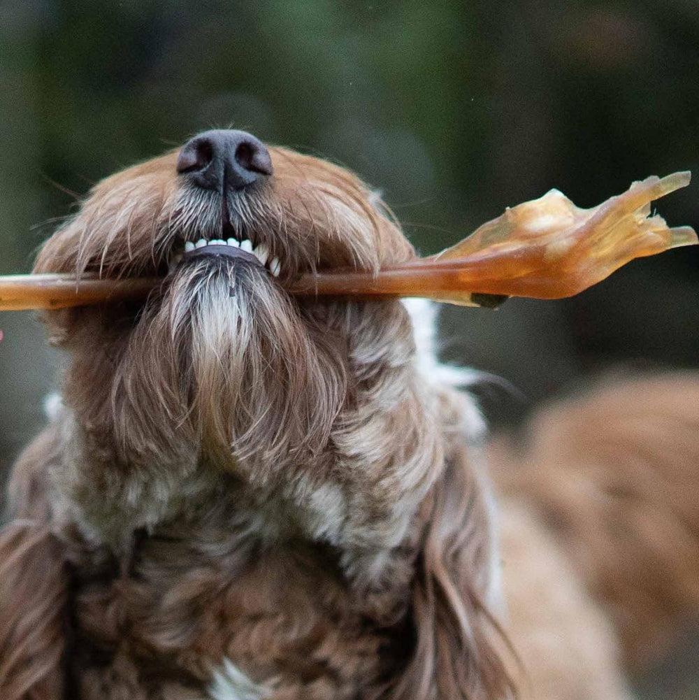 Venison Tendons/Sinew x 3 - Antler Chew