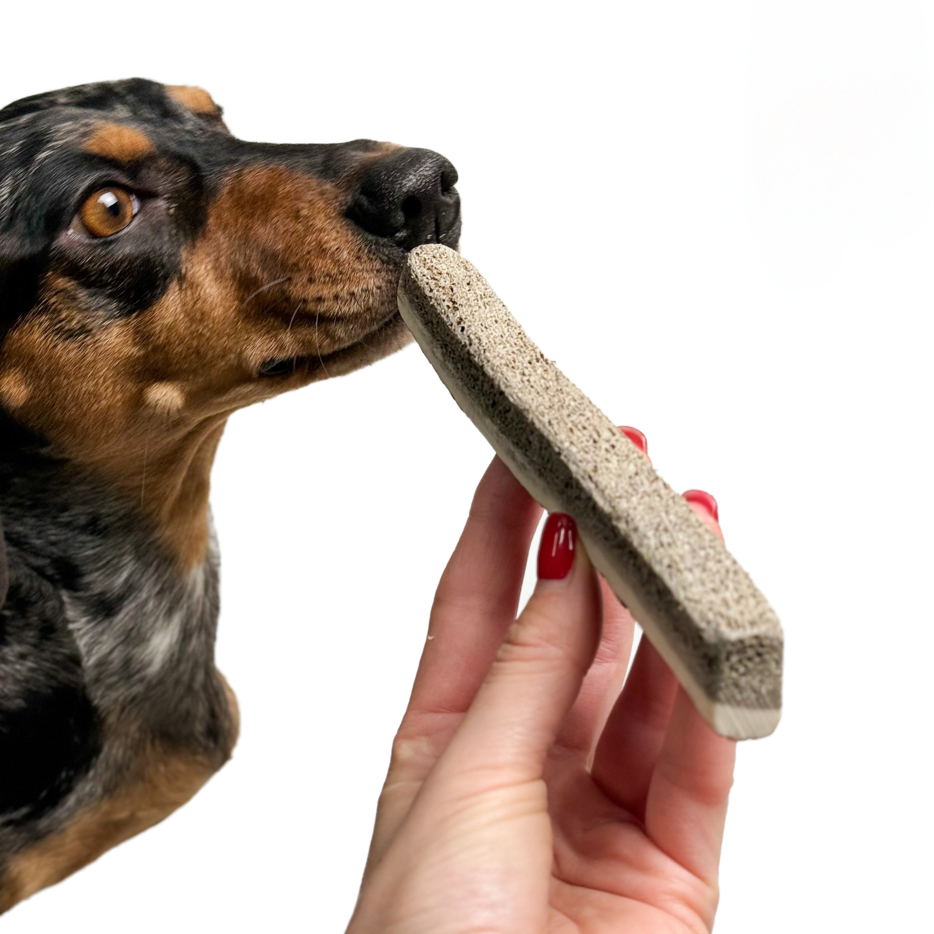 Natural Red Deer Split Antlers provide entertainment for non-power chewers. Puppy friendly from 12 weeks. Full of minerals and protein.  - Antler Chew 