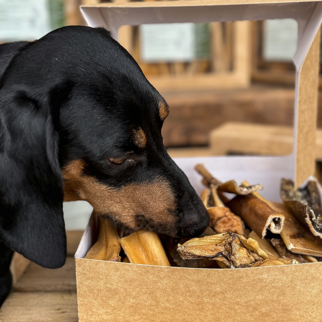 Made from 100% natural deer skin, these chews are perfect for keeping your dog entertained while promoting dental health.   - Antler Chew 
