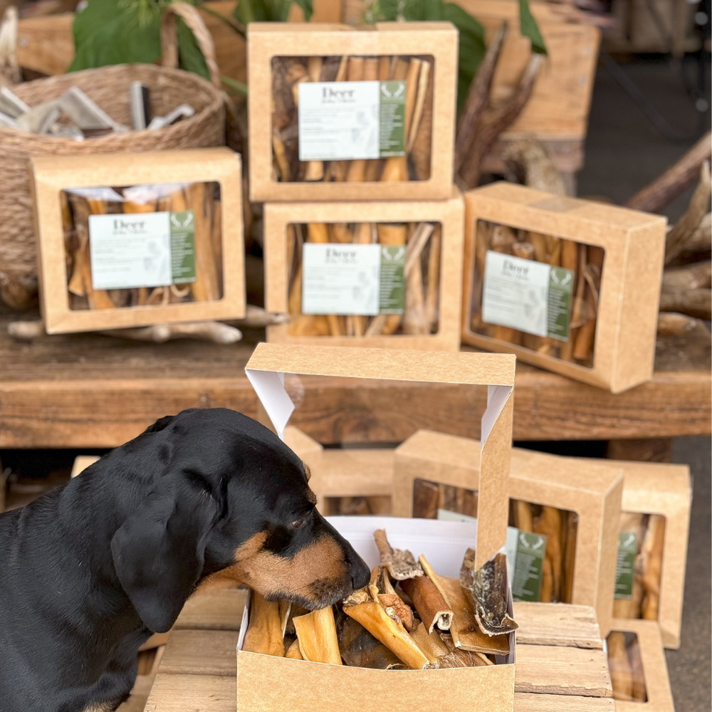 Made from 100% natural deer skin, these chews are perfect for keeping your dog entertained while promoting dental health.   - Antler Chew 