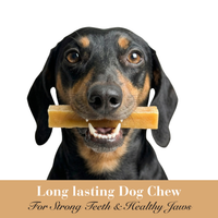   - Antler Chew 