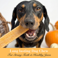   - Antler Chew 