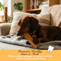   - Antler Chew 
