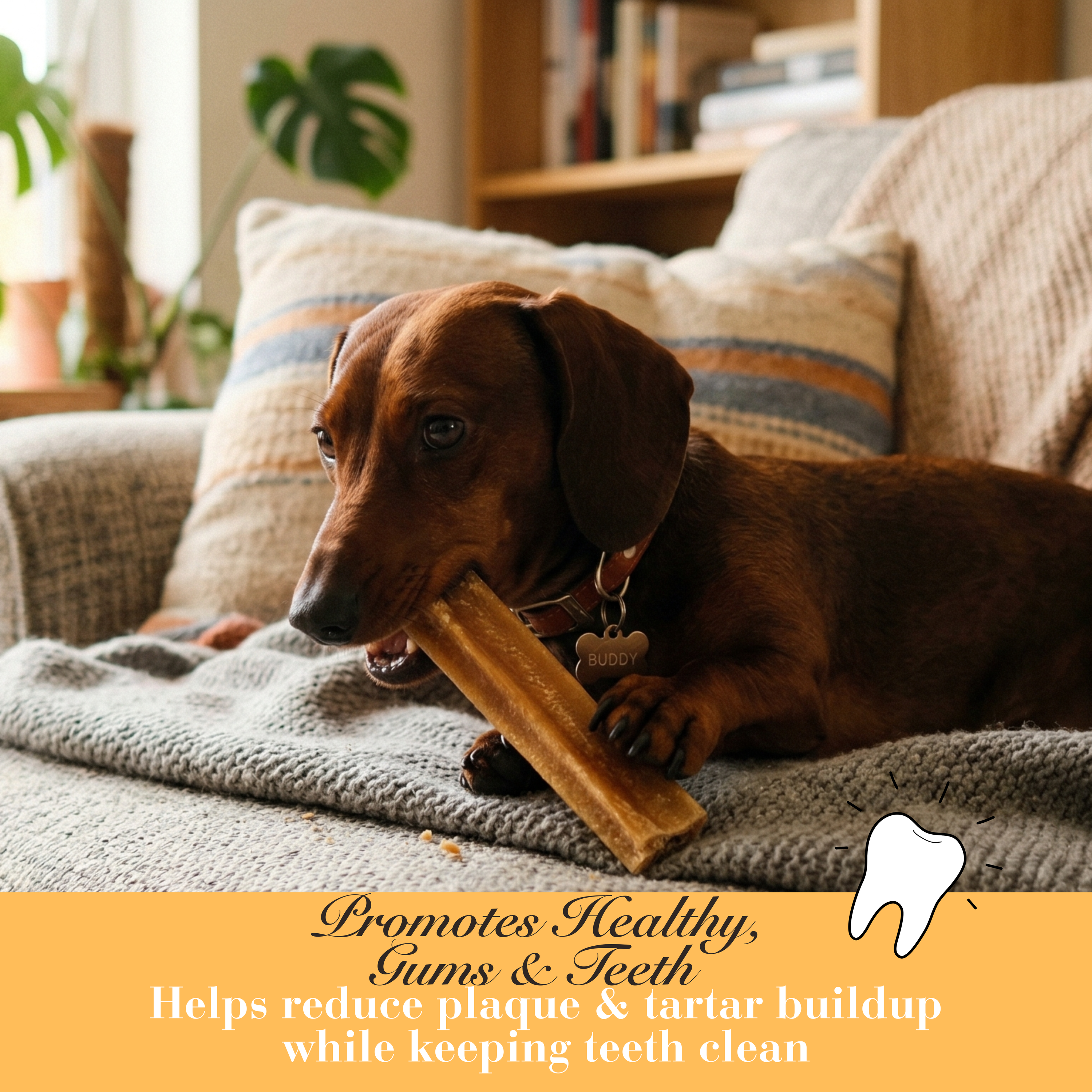   - Antler Chew 