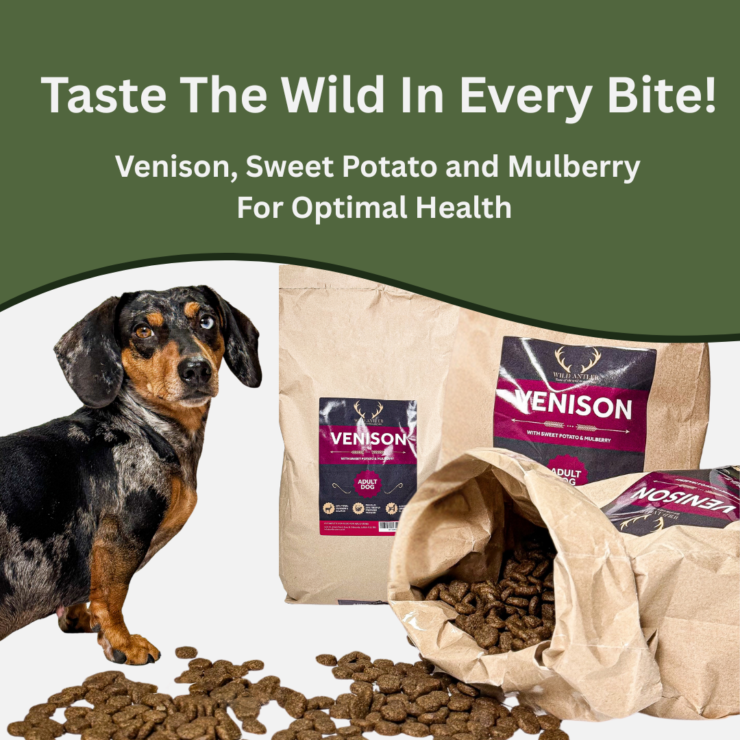 Give your working dog the energy they need with our Premium Venison dog food. Packed with essential nutrients for a healthy skin and coat.  - Antler Chew 