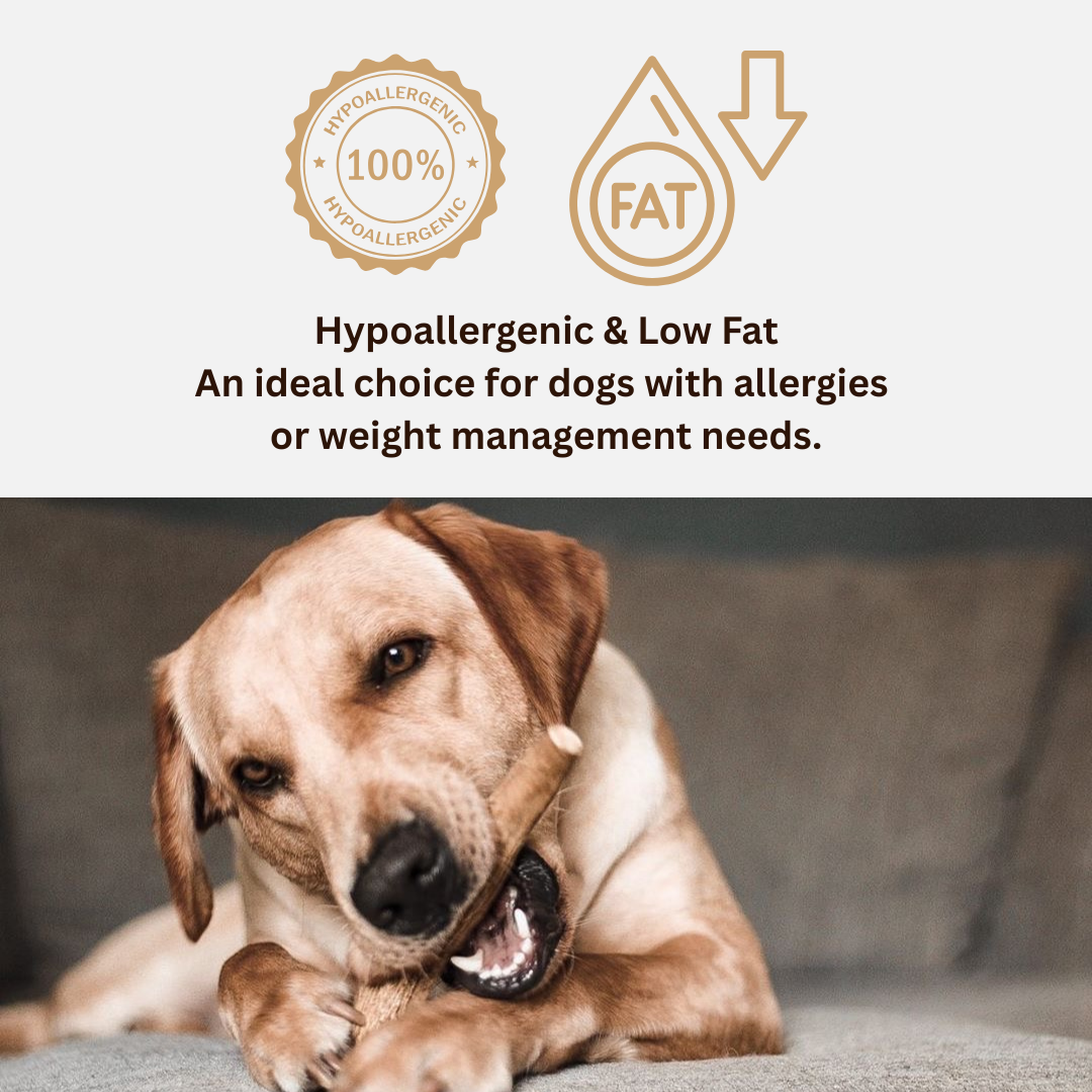 Natural Moose Dog Chews: Long-lasting, mineral-rich, Sustainable chews with harder marrow for lasting chewing sessions.  - Antler Chew 