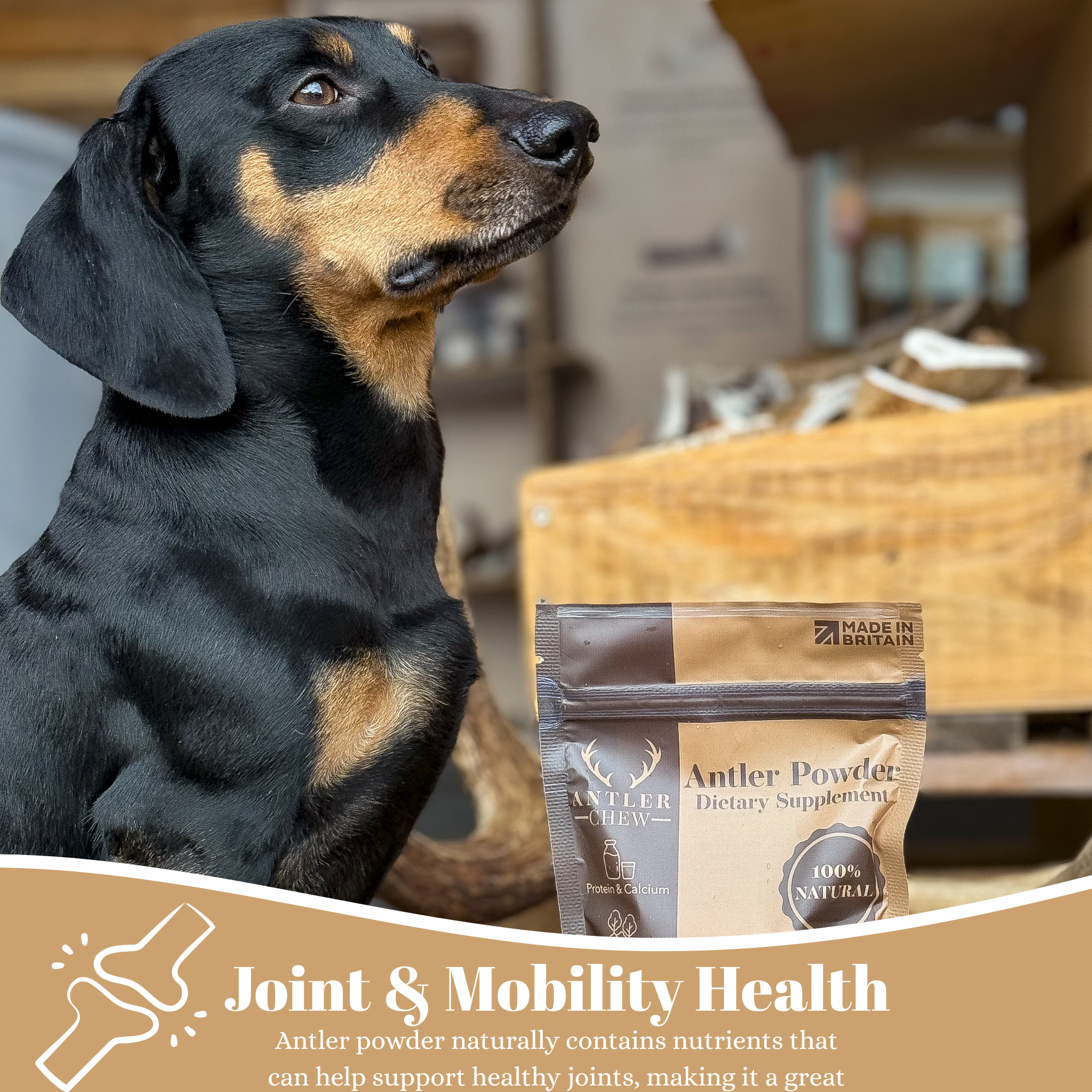 100% natural deer antler powder for dogs, traditionally used to support joints, mobility and overall wellbeing. Rich in calcium, magnesium and phosphorus.  - Antler Chew 