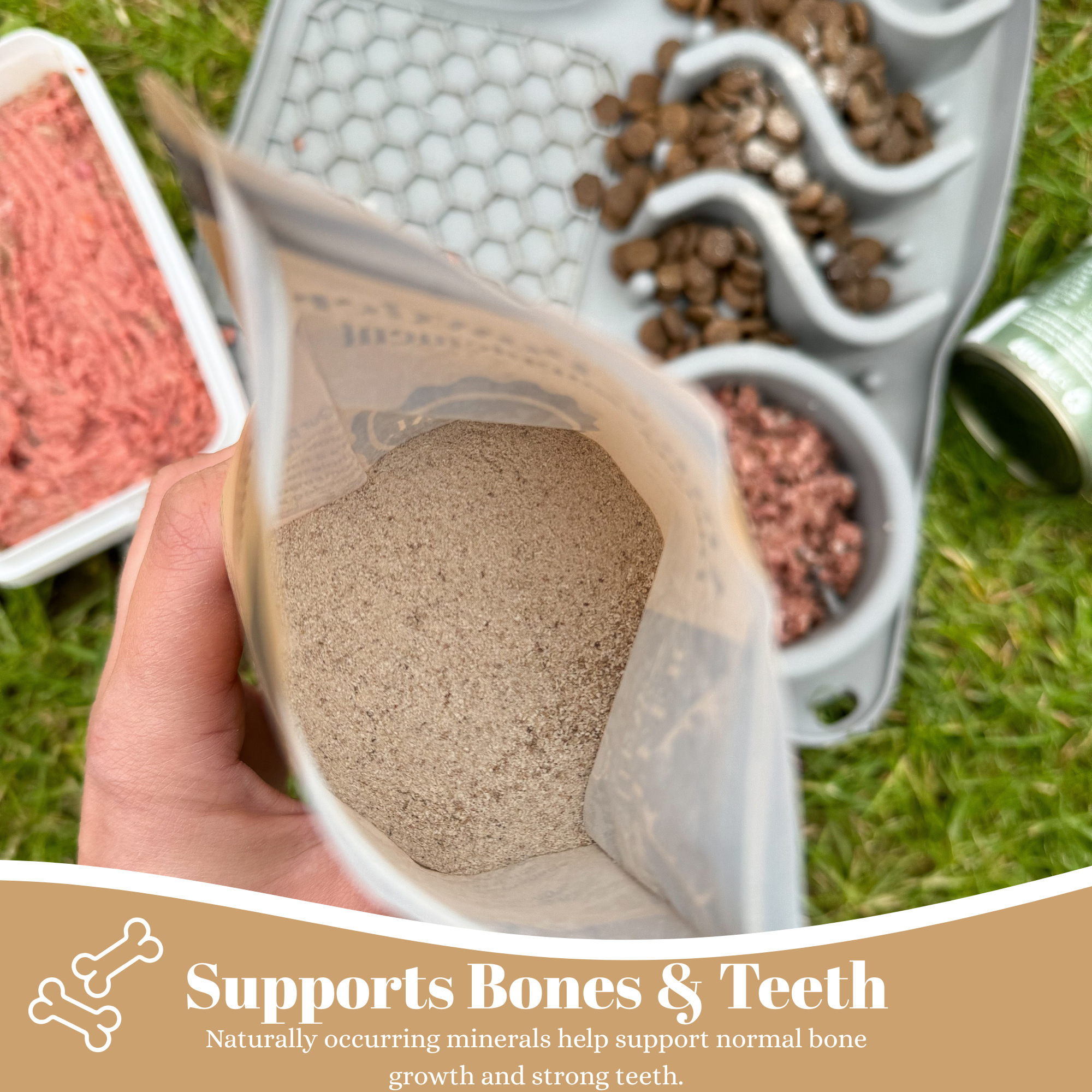 100% natural deer antler powder for dogs, traditionally used to support joints, mobility and overall wellbeing. Rich in calcium, magnesium and phosphorus.  - Antler Chew 