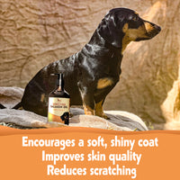 Enhance your dog's coat with our Scottish Salmon Oil. Rich in Omega 3 & 6, hypoallergenic, and full of natural nutrients. Keep stored properly for freshness.  - Antler Chew 