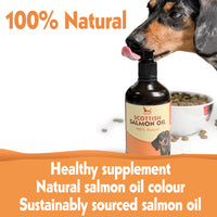 Enhance your dog's coat with our Scottish Salmon Oil. Rich in Omega 3 & 6, hypoallergenic, and full of natural nutrients. Keep stored properly for freshness.  - Antler Chew 