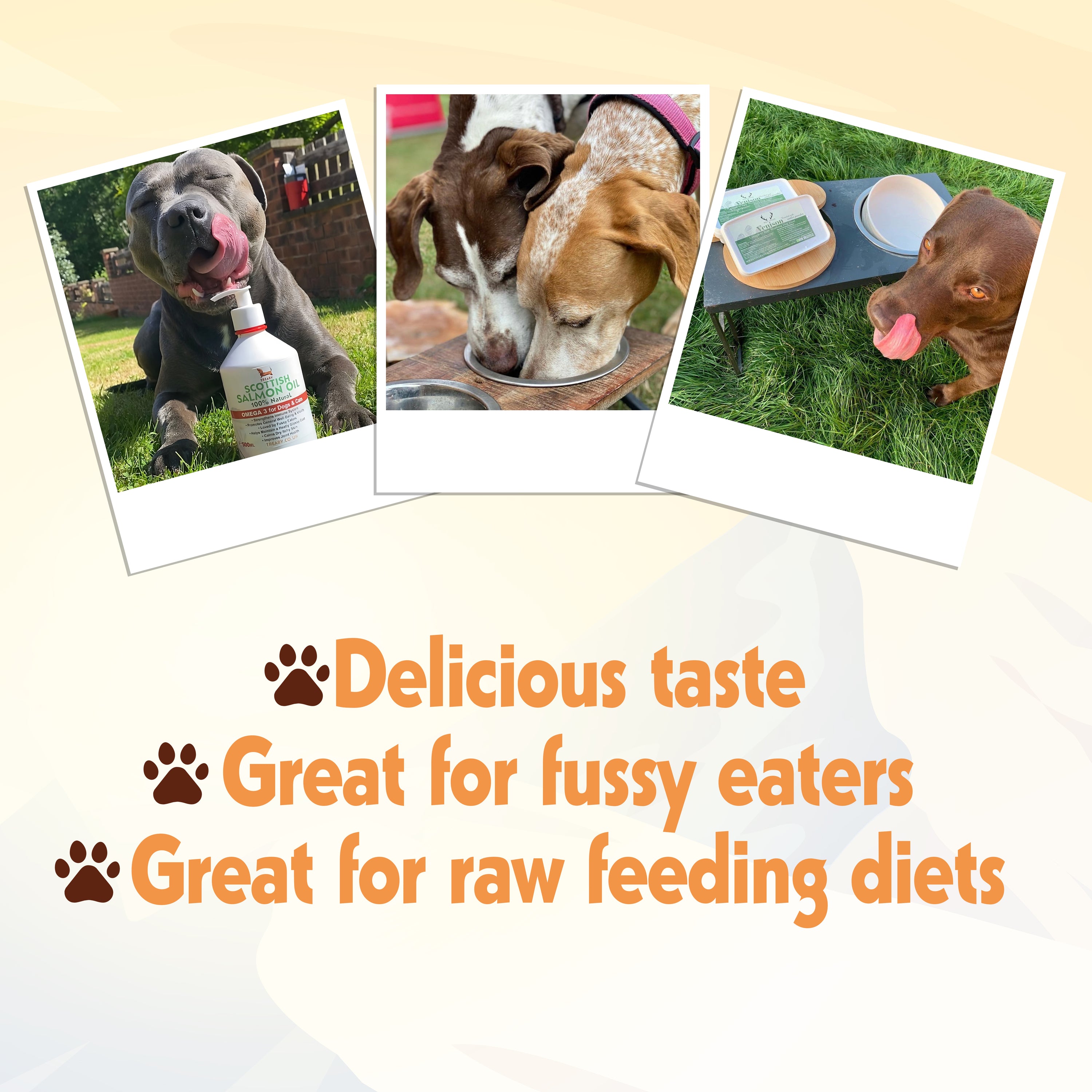 Enhance your dog's coat with our Scottish Salmon Oil. Rich in Omega 3 & 6, hypoallergenic, and full of natural nutrients. Keep stored properly for freshness.  - Antler Chew 