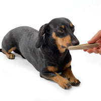 Natural Red Deer Split Antlers provide entertainment for non-power chewers. Puppy friendly from 12 weeks. Full of minerals and protein.  - Antler Chew 