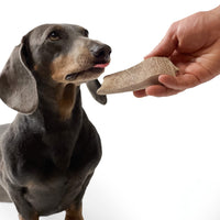 100% Natural Fallow Deer Dog Chews for soft to medium chewers. Packed with minerals, protein, and calcium to strengthen teeth. Sustainable sourced.  - Antler Chew 