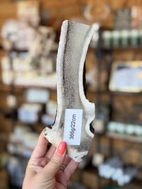 Antler Chew