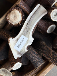 Antler Chew