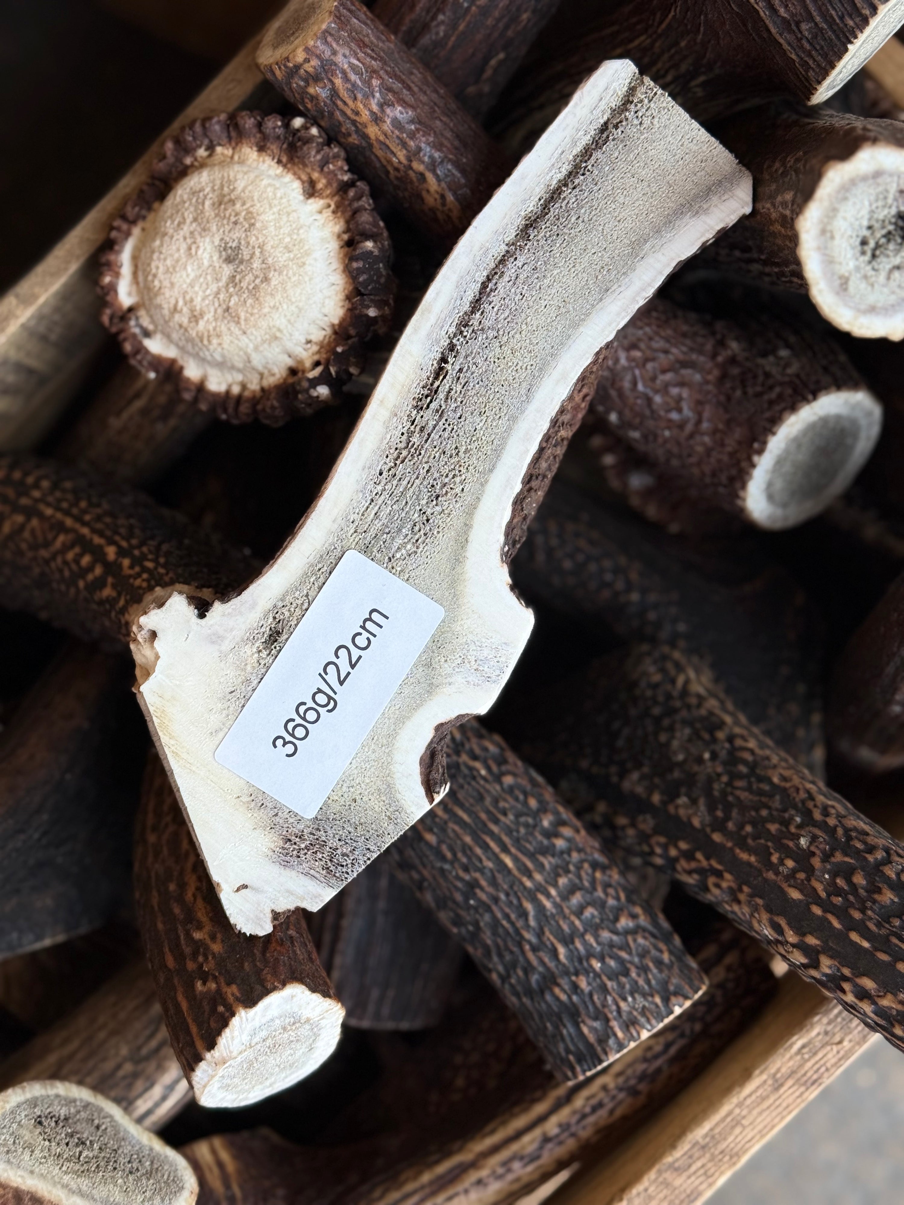 Red Deer Split Flat Antler Chew – 366g | 22cm | Sold As Seen