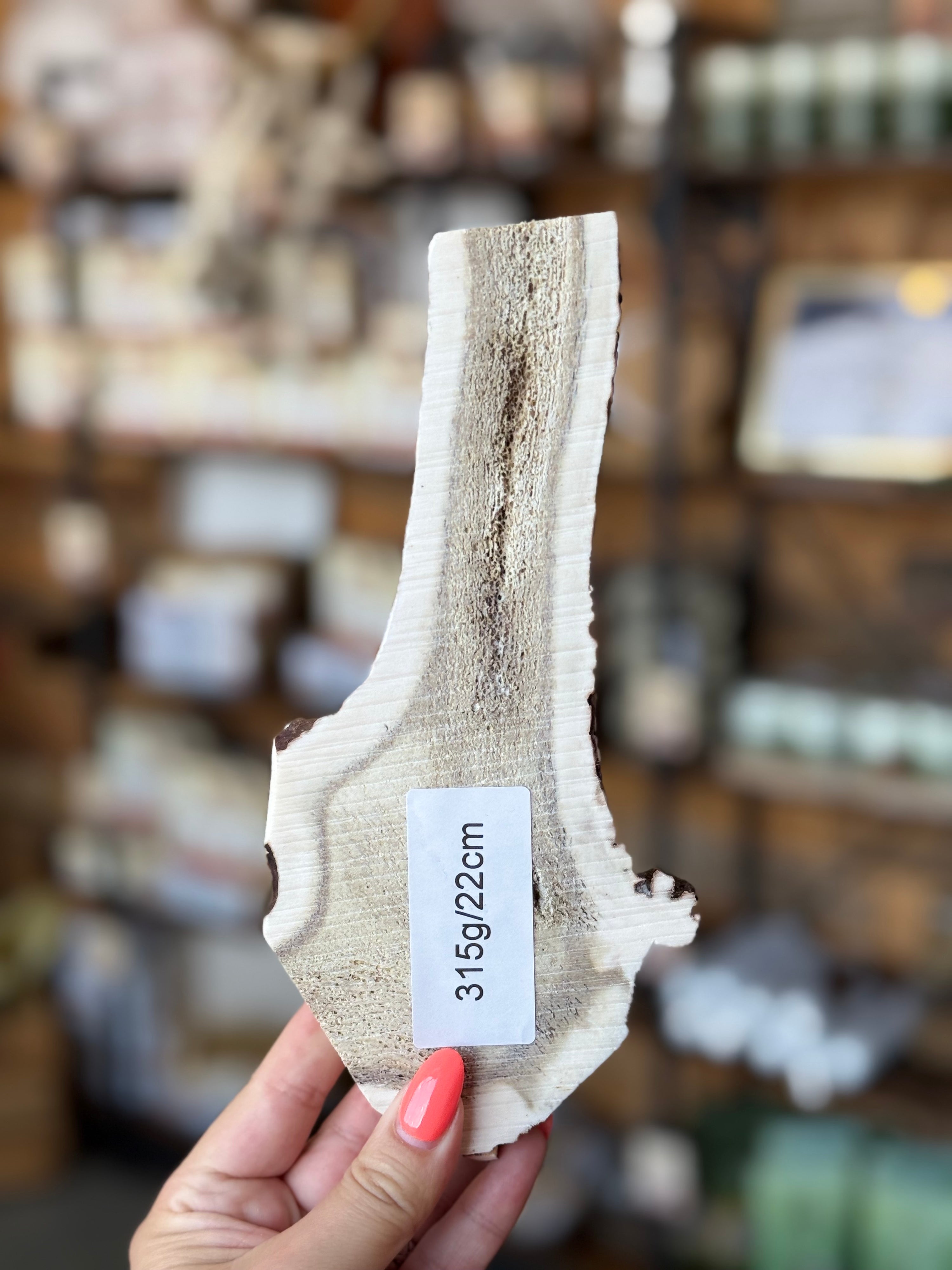 Red Deer Split Flat Antler Chew – 315g | 22cm | Sold As Seen