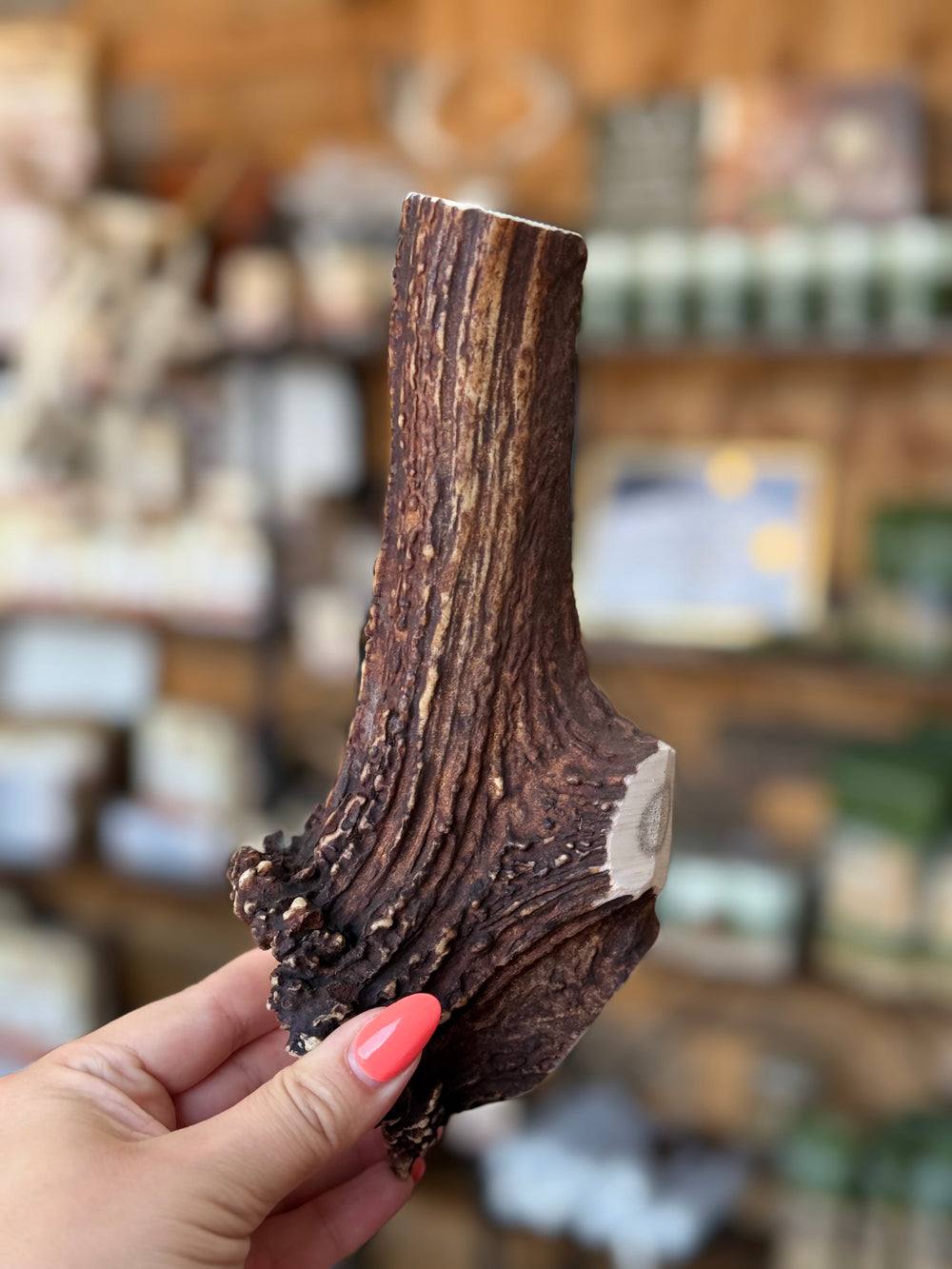 This one-of-a-kind antler offers a fantastic balance between durability and easy access to the nutritious centre, making it perfect for dogs that love to chew.   - Antler Chew