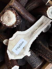Antler Chew