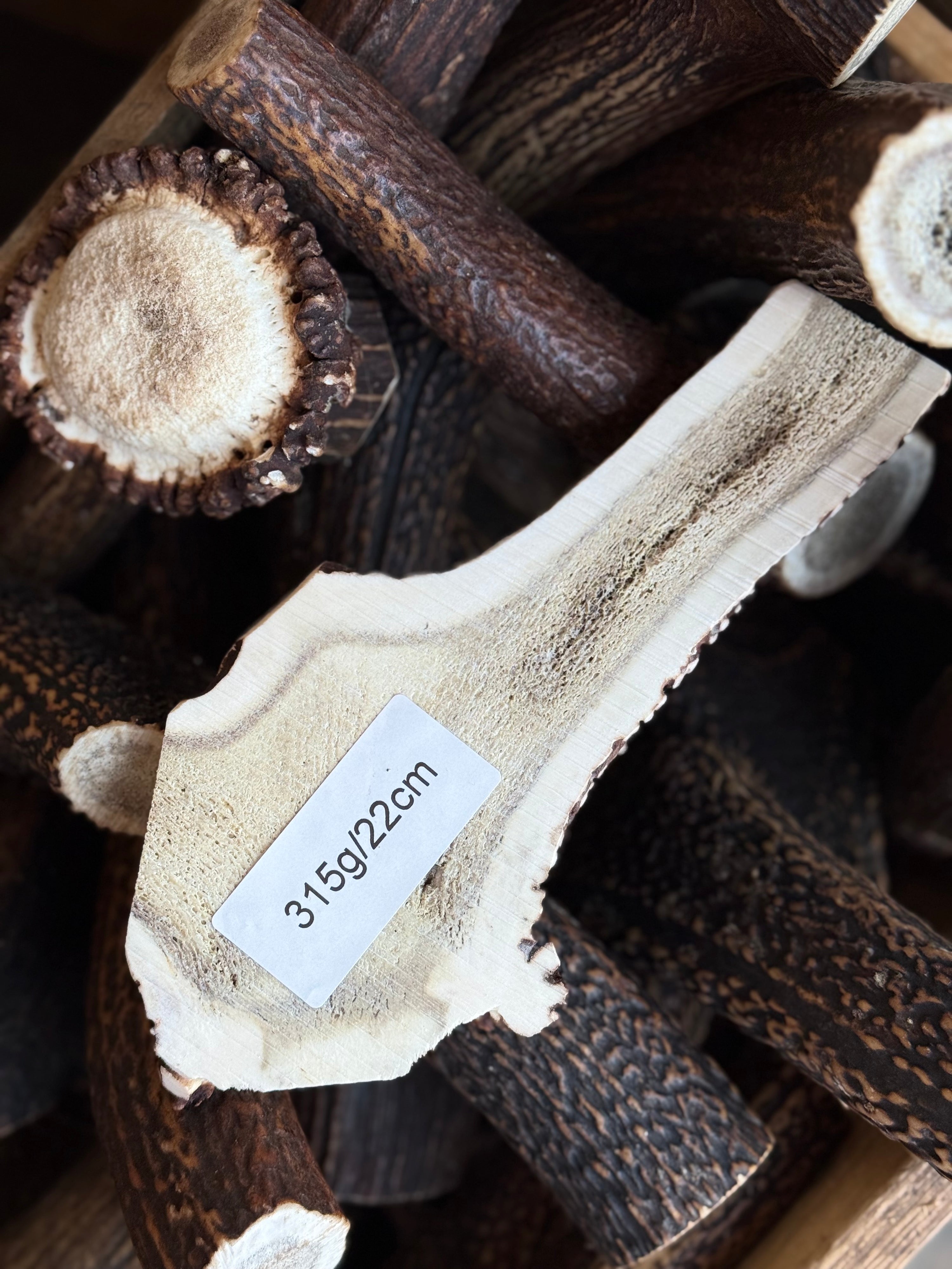 Red Deer Split Flat Antler Chew – 315g | 22cm | Sold As Seen