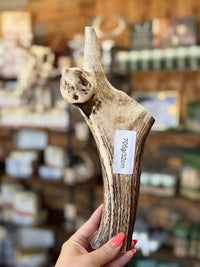 Antler Chew
