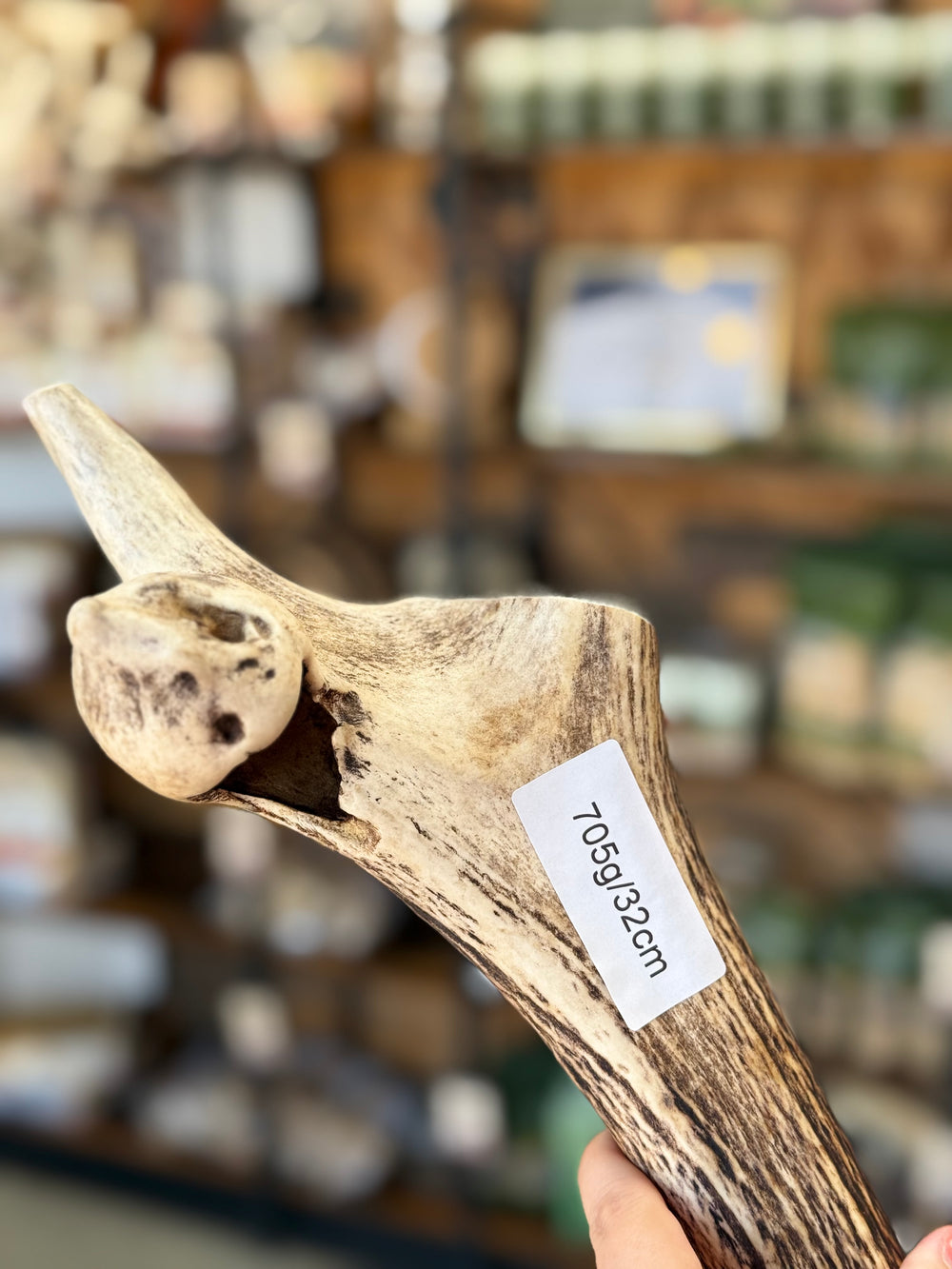 Looking for a truly impressive, long-lasting chew? This extra-large Red Deer Full Antler is ideal for powerful dogs that love a challenge.   - Antler Chew