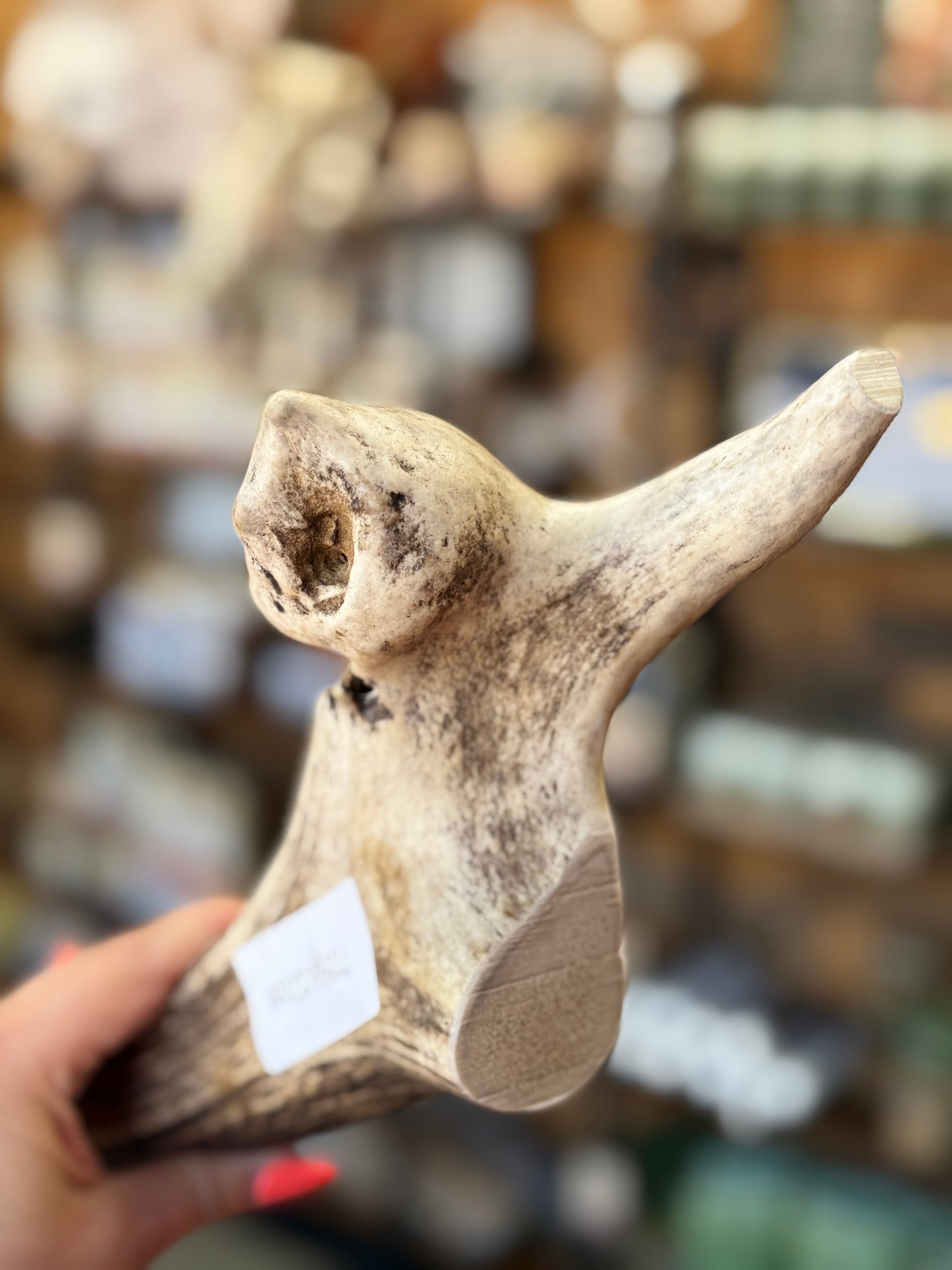 Red Deer Full Antler Chew – 705g | 32cm | Sold As Seen