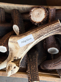Antler Chew