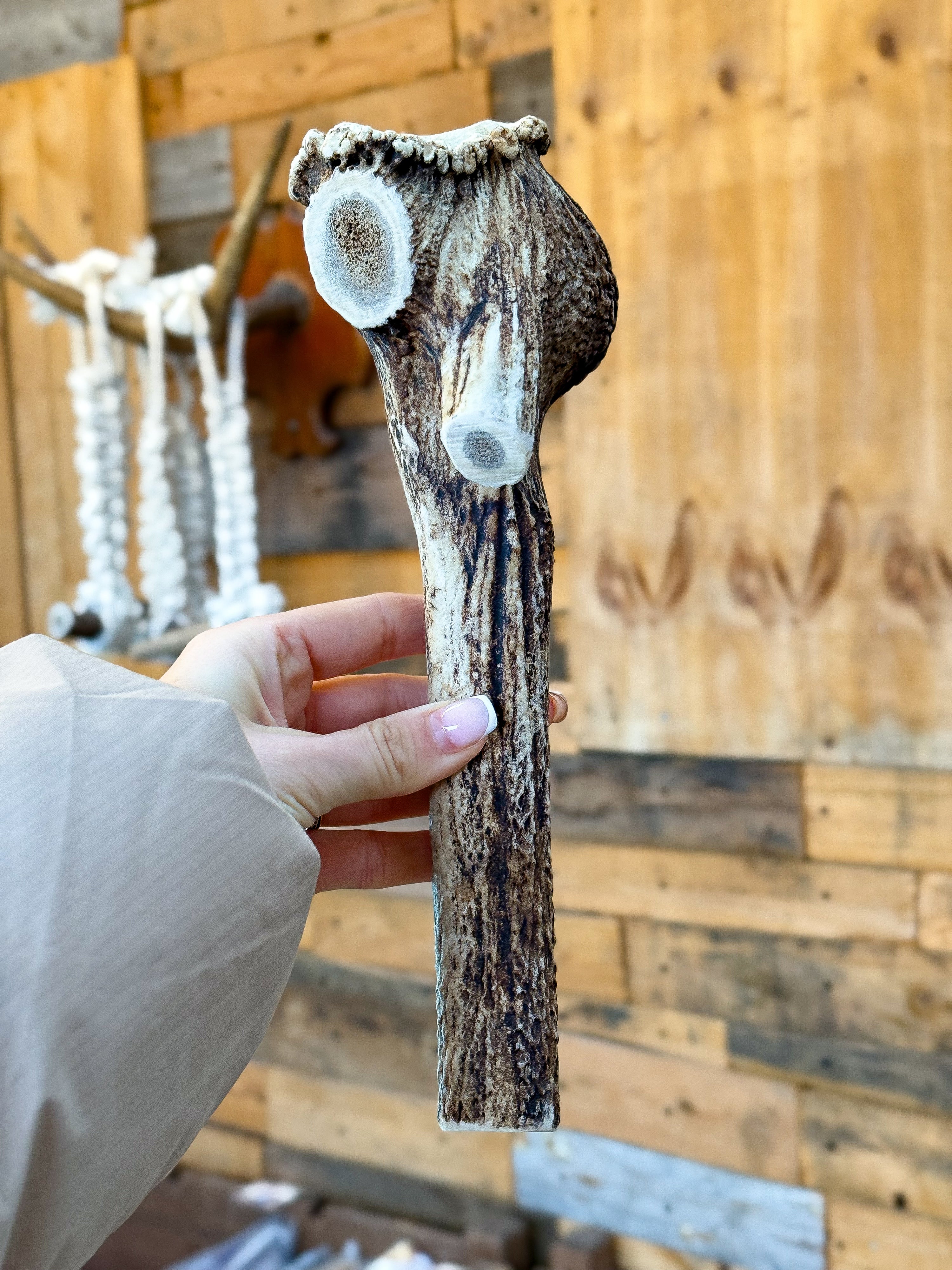 Full Antler Chew – 583g / 26cm Premium Piece (One of a Kind)