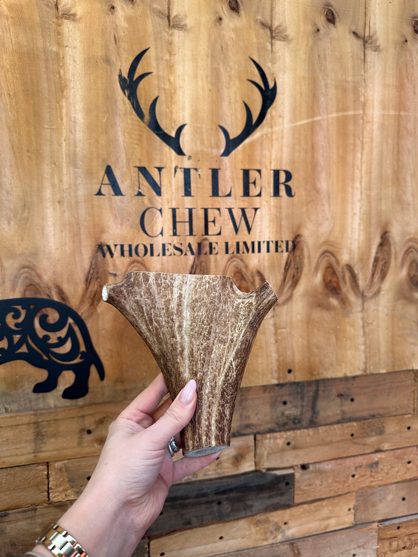   - Antler Chew 